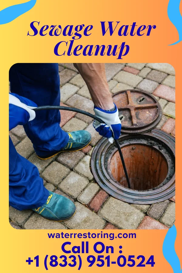 Sewage Water Cleanup in Rich Hill, MO